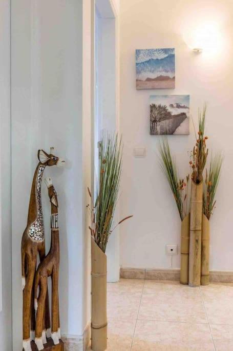 Terracos Do Vau 108 Apartment ปอร์ติเมา ภายนอก รูปภาพ