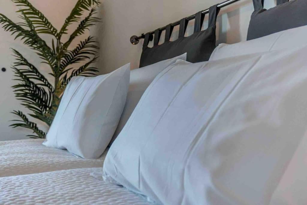 Terracos Do Vau 108 Apartment ปอร์ติเมา ภายนอก รูปภาพ